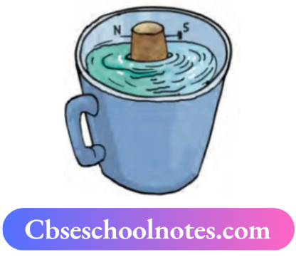 CBSE Notes For Class 6 Science Chapter 10 Fun With Magnets A Compass In A Cup