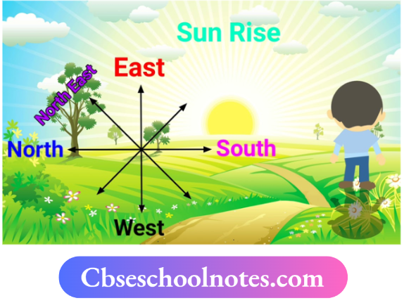 CBSE Notes For Class 6 Science Chapter 10 Fun With Magnets Using The Sun For Finding Directions