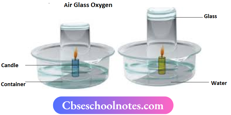 CBSE Notes For Class 6 Science Chapter 11 Air Around Us Has Oxygen