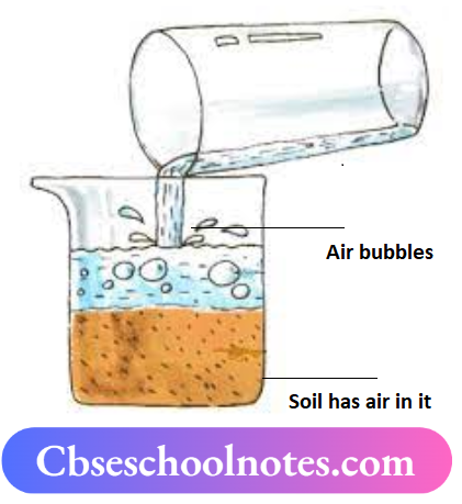 CBSE Notes For Class 6 Science Chapter 11 Air Around Us Soil Has Air In It