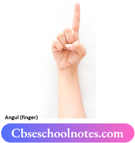 CBSE Notes For Class 6 Science Chapter 7 Motion And Measurement Of Distances Angul