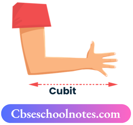 CBSE Notes For Class 6 Science Chapter 7 Motion And Measurement Of Distances Cubit