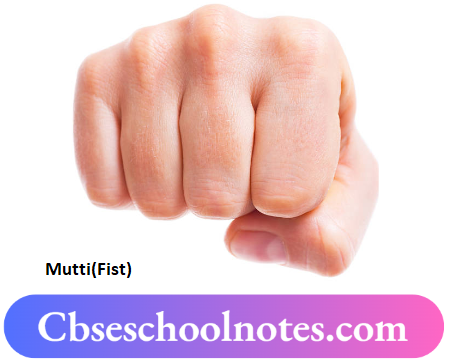 CBSE Notes For Class 6 Science Chapter 7 Motion And Measurement Of Distances Fist