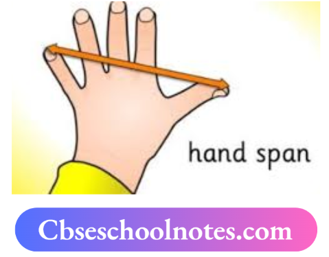 CBSE Notes For Class 6 Science Chapter 7 Motion And Measurement Of Distances Hand Span