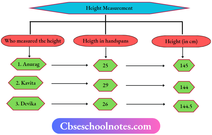 CBSE Notes For Class 6 Science Chapter 7 Motion And Measurement Of Distances Heigth Measurement