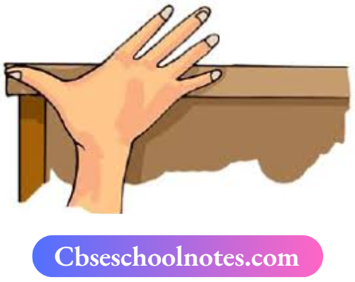CBSE Notes For Class 6 Science Chapter 7 Motion And Measurement Of Distances Width Of A Table With A Handspan