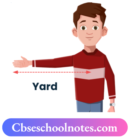 CBSE Notes For Class 6 Science Chapter 7 Motion And Measurement Of Distances Yard