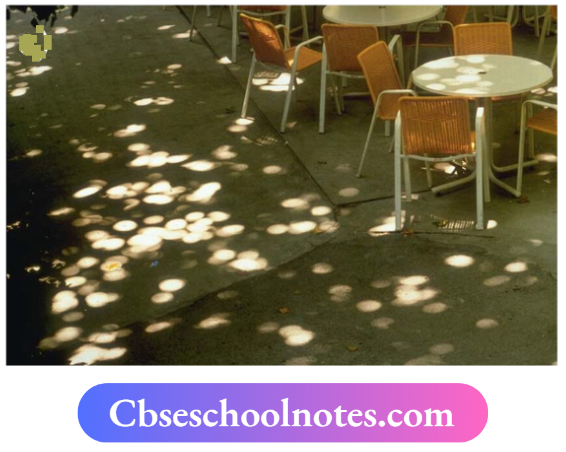 CBSE Notes For Class 6 Science Chapter 8 Light Shadows And Reflections A Natural Pinhole Camera