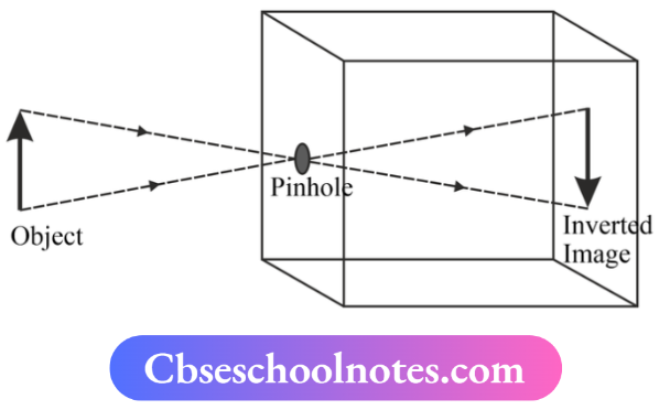 CBSE Notes For Class 6 Science Chapter 8 Light Shadows And Reflections A Pinhole Camera