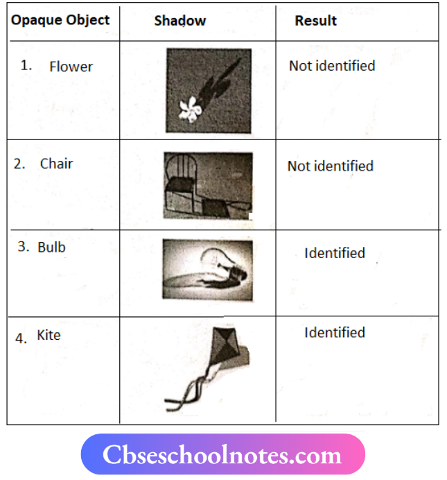 CBSE Notes For Class 6 Science Chapter 8 Light Shadows And Reflections Ask Some Other Friends