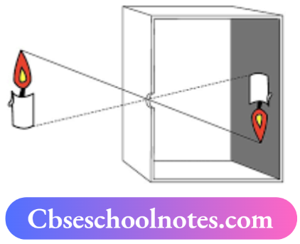 CBSE Notes For Class 6 Science Chapter 8 Light Shadows And Reflections Distance Between Screen And Pinhole Is Reduced
