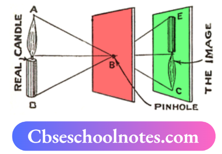 CBSE Notes For Class 6 Science Chapter 8 Light Shadows And Reflections Distance Between Screen And Pinhole Is