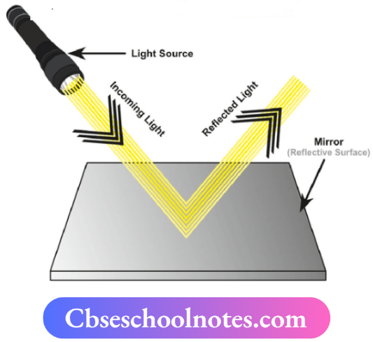 CBSE Notes For Class 6 Science Chapter 8 Light Shadows And Reflections Mirror And Reflection Of Light