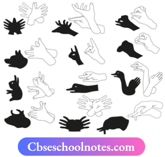 CBSE Notes For Class 6 Science Chapter 8 Light Shadows And Reflections Shadows Of Animals And Birds Hidden In Your Hand