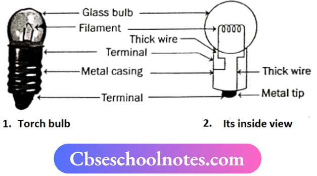 CBSE Notes For Class 6 Science Chapter 9 Electricity And Circuits Torch Bulb And Its Inside View