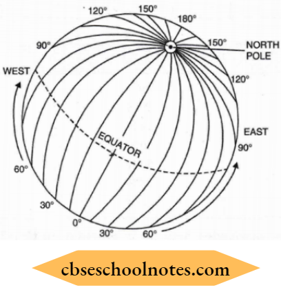 Globe Latitudes And Longitudes Meridians Of Longitudes