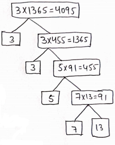 Real Numbers Factor Trees
