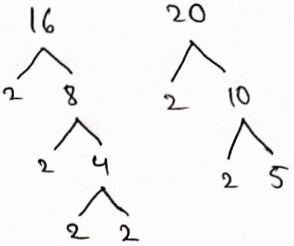 Real Numbers The Prime Factorization