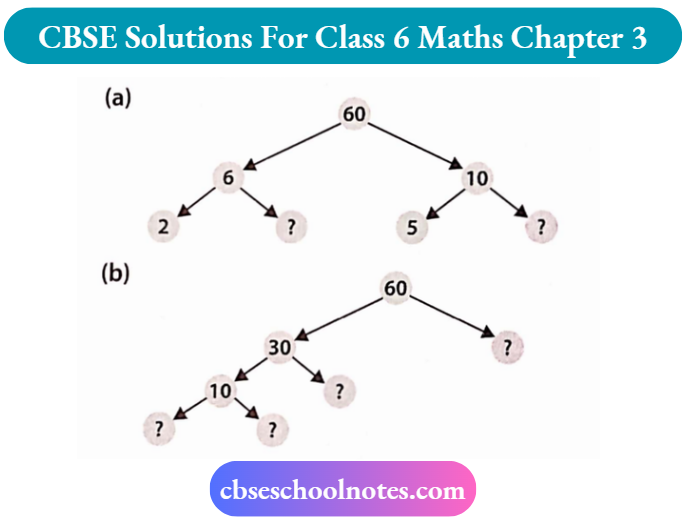 CBSE Solutions For Class 6 Maths Chapter 3