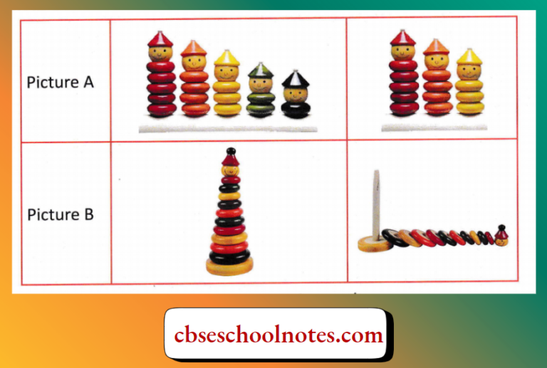 NCERT Workbook Solutions For Class 3 Chapter 1 Numbers - CBSE School Notes