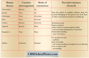 Chapter Microorganisms Class 8 Notes CBSE Class 8 Science Notes For Chapter 2 Microorganisms Friend And Foe ...
