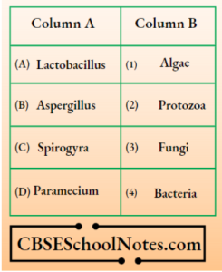CBSE Class 8 Science Chapter 2 Microorganisms Friend And Foe Question ...