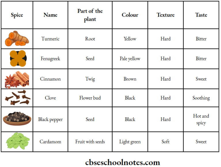 Soft Spice Notes CBSE Class 6 English Chapter 9 Spices That Heal Us - CBSE School Notes